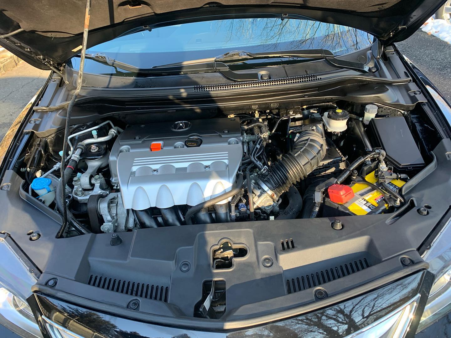Cleaned engine bay